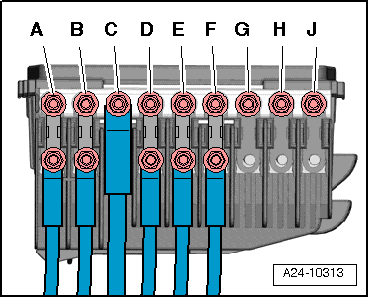 A24-10313