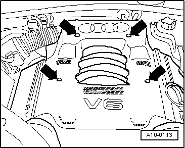 A10-0113