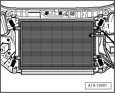 A19-10081