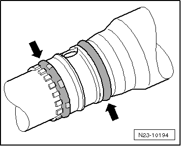 N23-10194