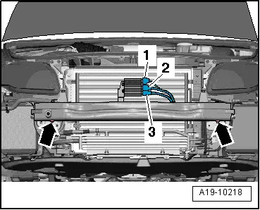 A19-10218