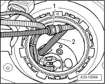 A20-10066