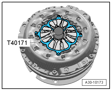 A30-10173