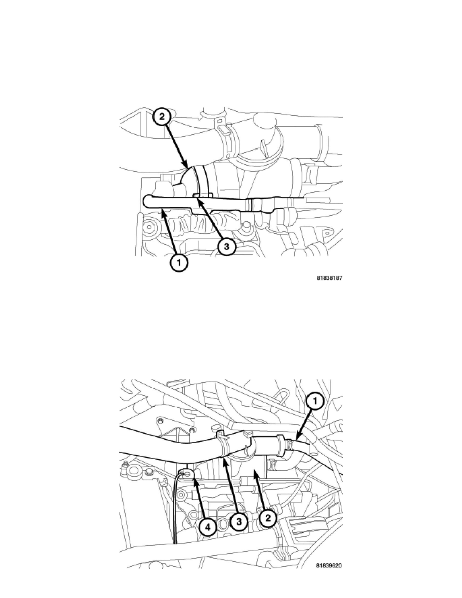 Engine, Cooling and Exhaust > Cooling System > Thermostat, Engine Cooling > Component Information > Service and Repair > Removal