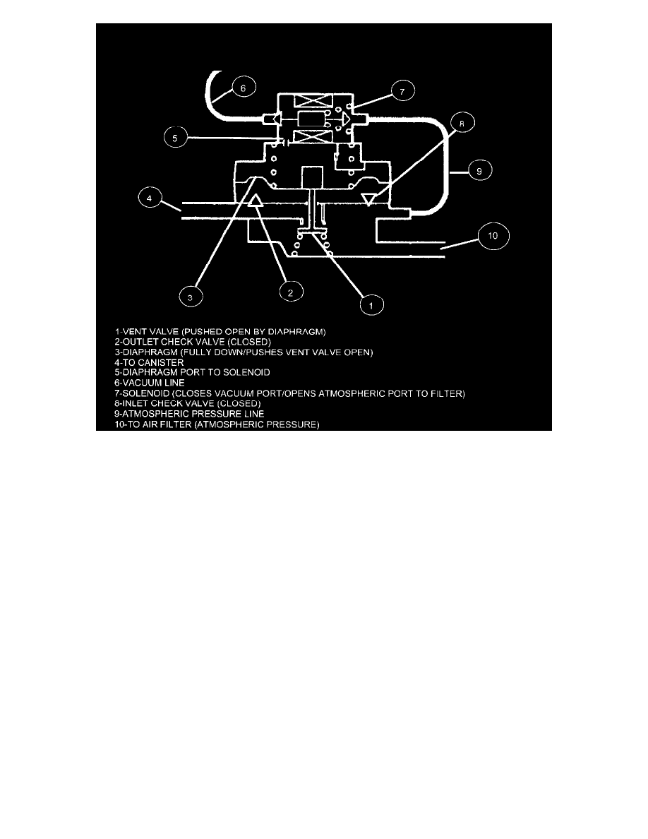 Powertrain Management > Emission Control Systems > Evaporative Emissions System > Leak Detection Pump, Evaporative System > Component Information > ...