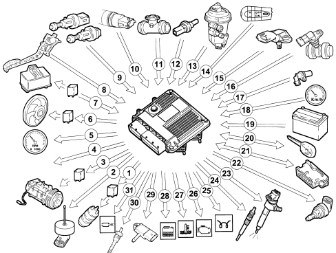 INTRODUCTION - DIESEL FUEL INJECTION SYSTEM