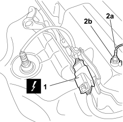 SYSTEM CABLE LOOM - R.R.