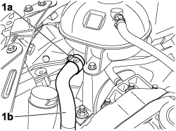 RADIATOR COOLANT OUTLET HOSE - R.R.