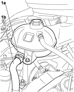 RADIATOR COOLANT OUTLET HOSE - R.R.