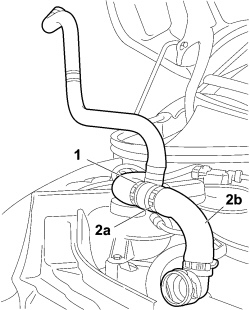 RADIATOR COOLANT OUTLET HOSE - R.R.