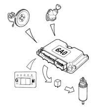 Introduction - CNG FUEL SYSTEM