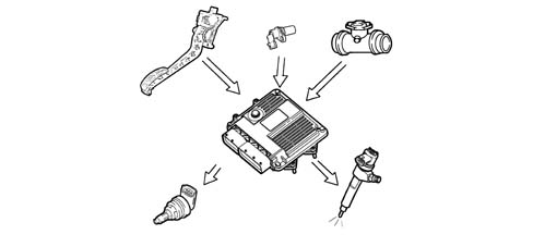 Introduction - DIESEL FUEL INJECTION