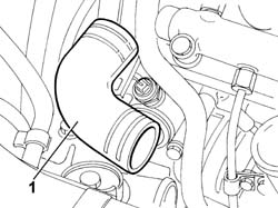 HOSE BETWEEN RIGID PIPE AND THERMOSTAT - R.R.