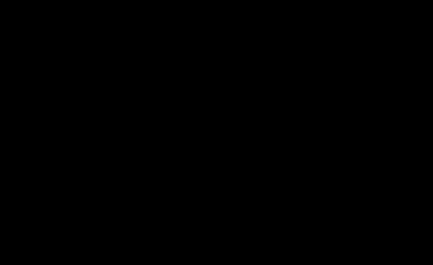 REAR COURTESY LIGHT AND THIRD BRAKE LIGHT BRIDGE