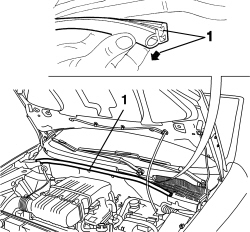 BONNET LID WEATHERSTRIP - R+R
