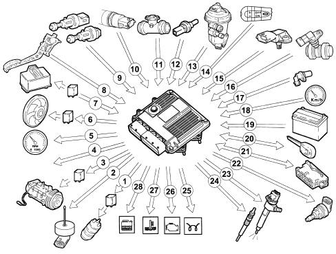 Introduction - DIESEL FUEL INJECTION