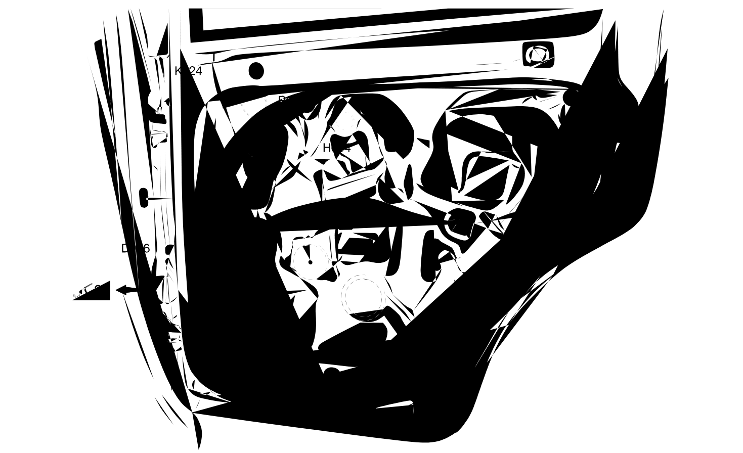REAR RIGHT DOOR