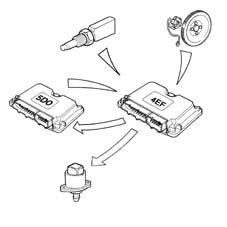 Introduction - LPG FUEL SYSTEM.