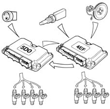 Introduction - LPG FUEL SYSTEM.