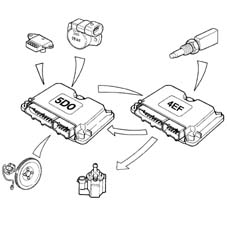 Introduction - LPG FUEL SYSTEM.