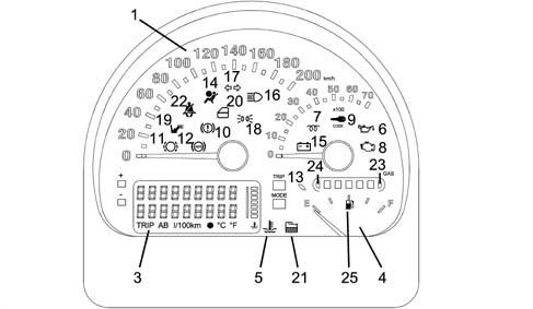Introduction - INSTRUMENT PANEL