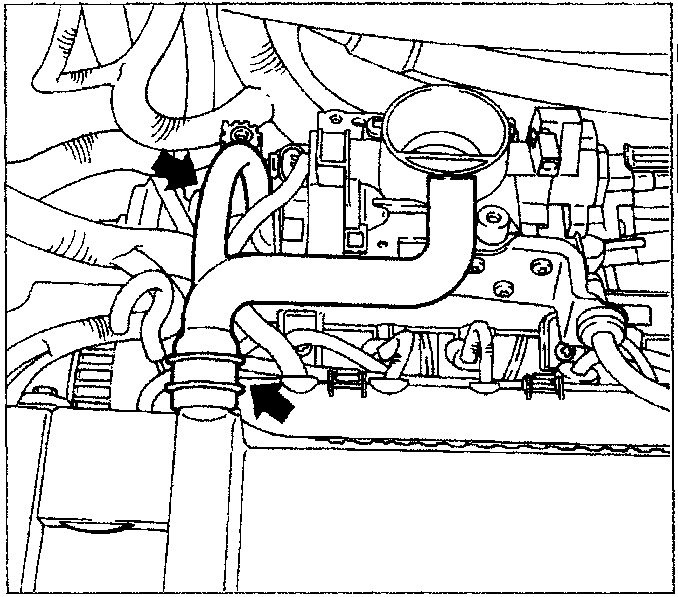 Engine coolant hose routing diagram with arrows indicating flow direction