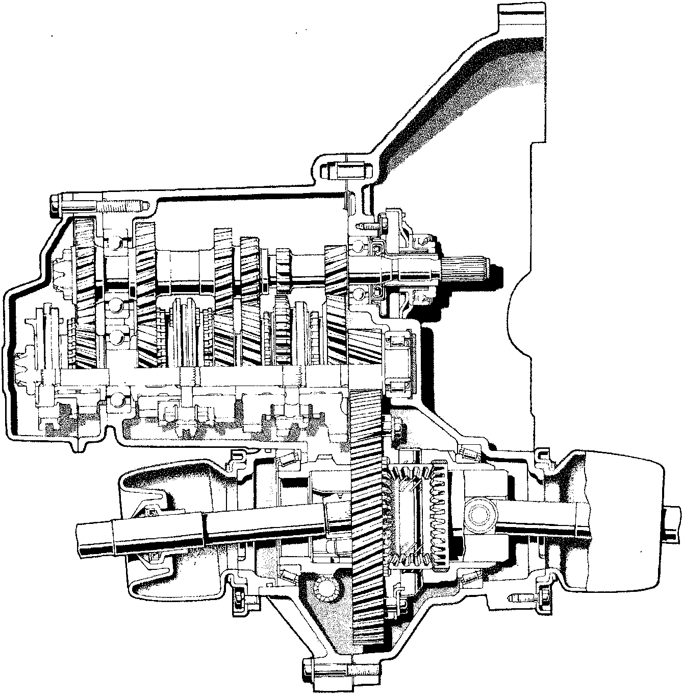 Longitudinal section of a 5 speed gearbox and differential showing internal gears, shafts, and the differential assembly in cutaway view