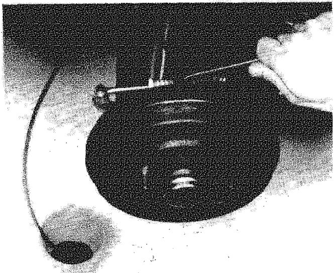 A hand using a screwdriver to adjust a component on the back of a rear brake assembly, with a bleed nipple visible.