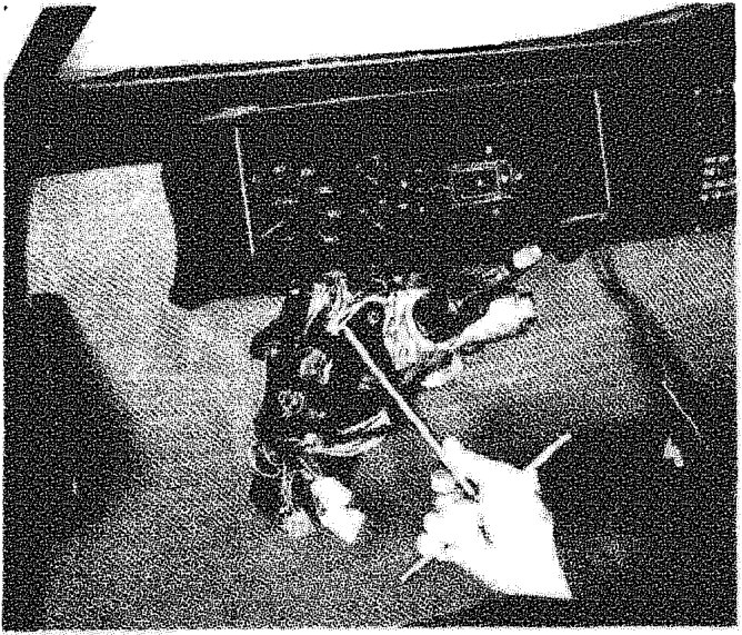 Illustrates removal of engine mount bolts from vehicle chassis