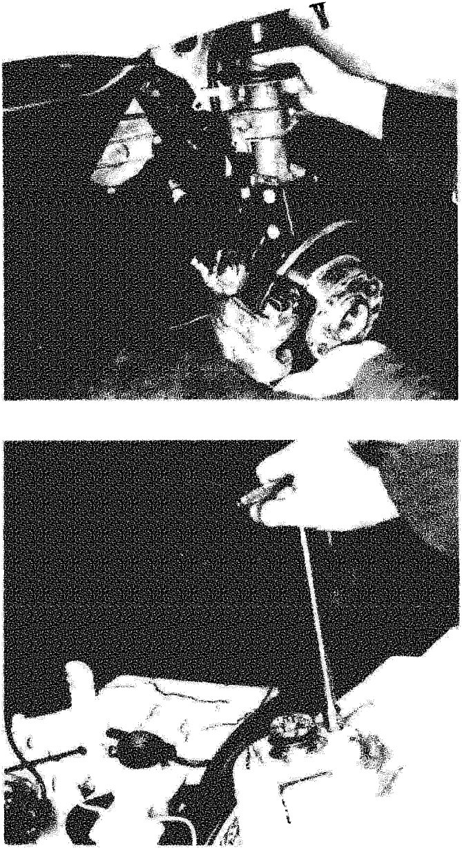 A pair of hands working on the vehicle's front hub assembly and constant velocity joint area.