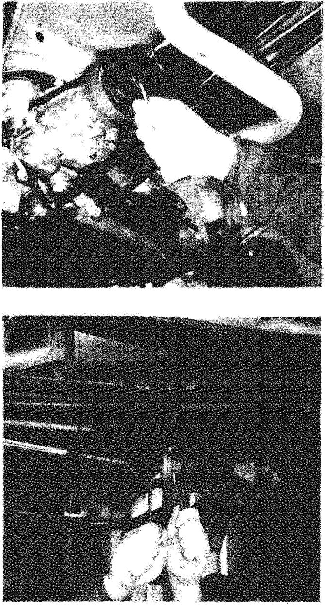 Photos: propeller shaft coupling at the power unit, and rear joint at the rear axle, Panda 4x4