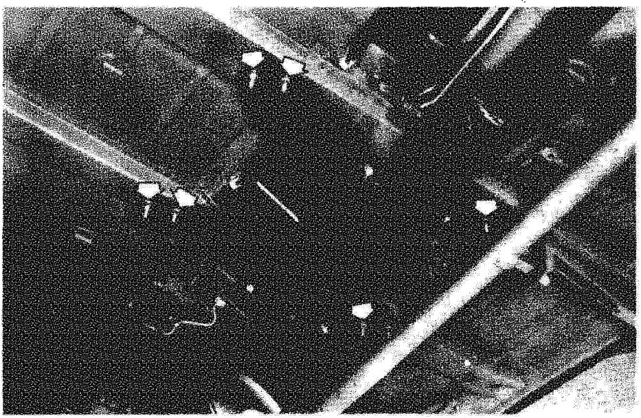 Photo: removing the propeller shaft from under the Panda 4x4