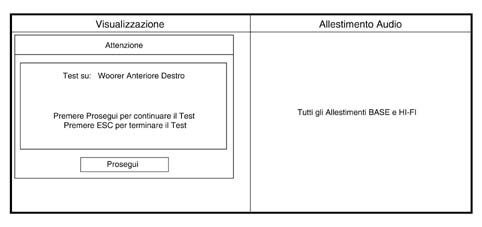 CONNECT AUTODIAGNOSTIC PROCEDURE