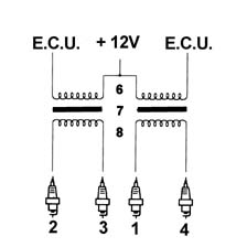 Introduction - PETROL INJECTION SYSTEM