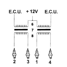 Introduction - PETROL INJECTION SYSTEM