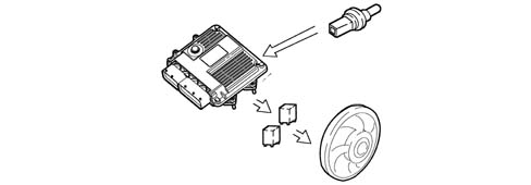 Introduction - DIESEL FUEL INJECTION