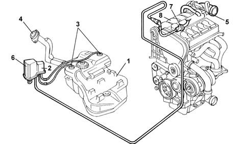 Evaporation control system