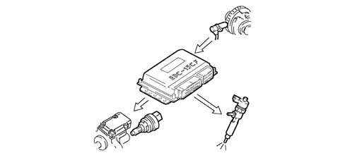 Introduction - DIESEL FUEL INJECTION