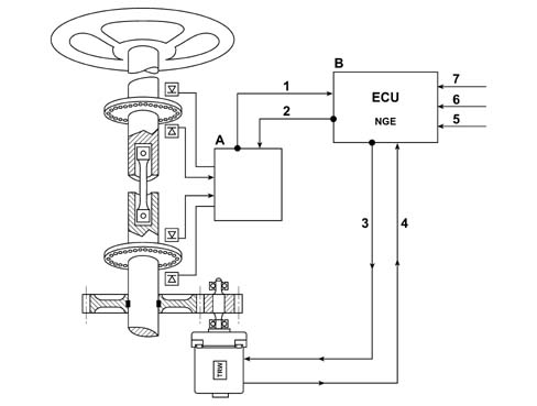 Introduction - STEERING
