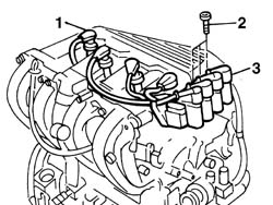 Toothed timing belt - r r with engine removed