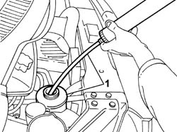 POWER ASSISTED STEERING FLUID - REPLACE