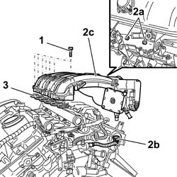 TOOTHED TIMING BELT - R R WITH ENGINE REMOVED