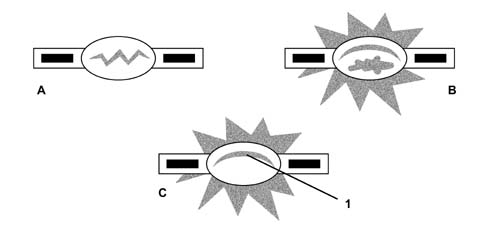 EXTERIOR AND INTERIOR LIGHTING