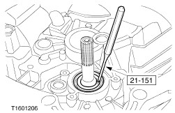 Ford puma drinking oil #10