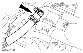 Step 10: Disconnect the vacuum hose.