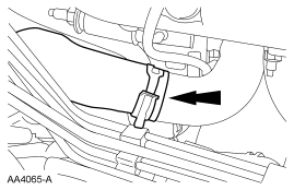 Step 22: Disconnect the lower radiator hose from the oil filter adapter.