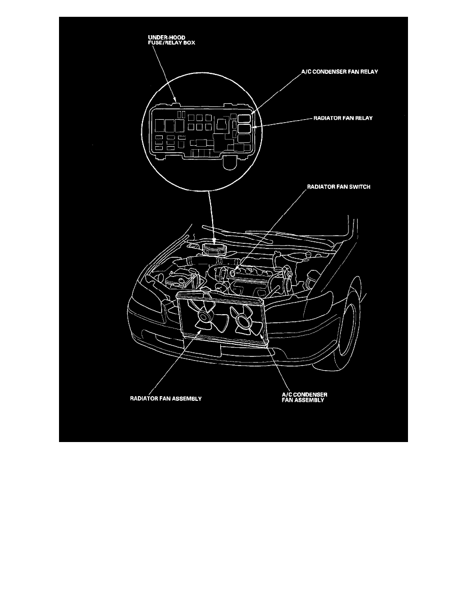 Honda Service and Repair Manuals > Accord DX Sedan L42254cc 2