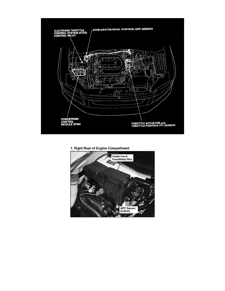 Honda Service and Repair Manuals > Ridgeline V63.5L (2006