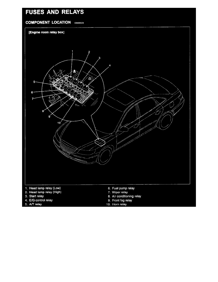 Hyundai Workshop Manuals > Azera V6-3.3L (2007) > Lighting and Horns