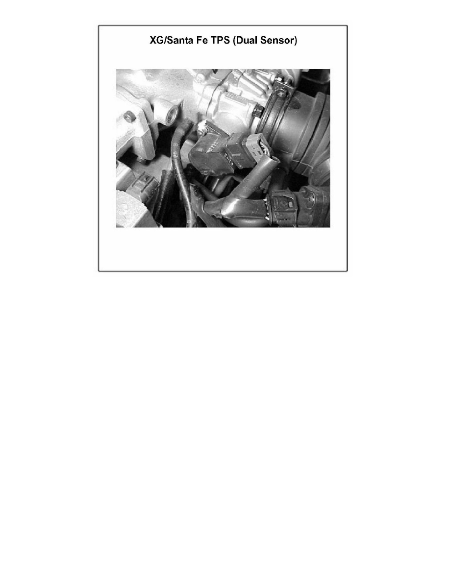 Hyundai Service and Repair Manuals > Santa Fe V63.5L (2004